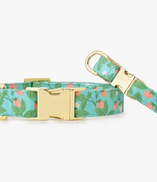 The Foggy Dog The Foggy Dog Spring Collar