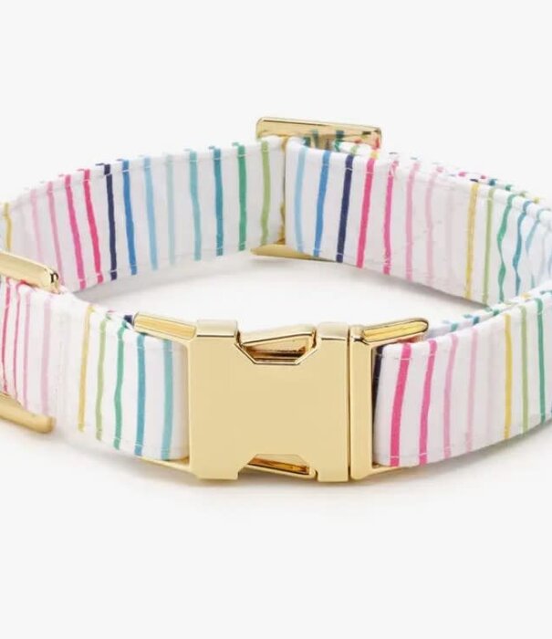 The Foggy Dog The Foggy Dog Spring Collar