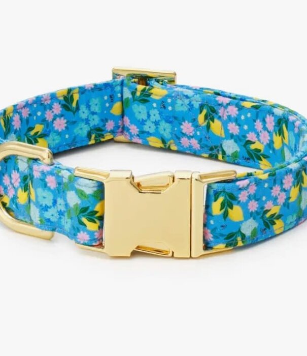 The Foggy Dog The Foggy Dog Spring Collar