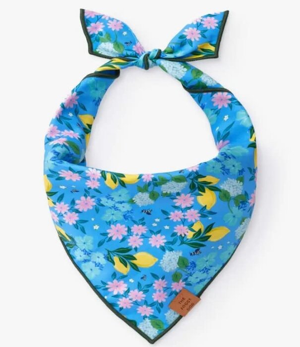 The Foggy Dog The Foggy Dog Spring Bandana