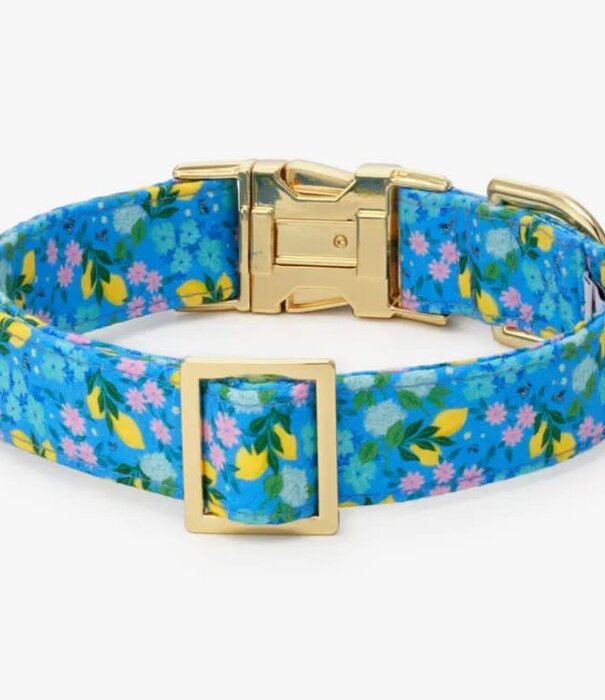 The Foggy Dog The Foggy Dog Spring Collar