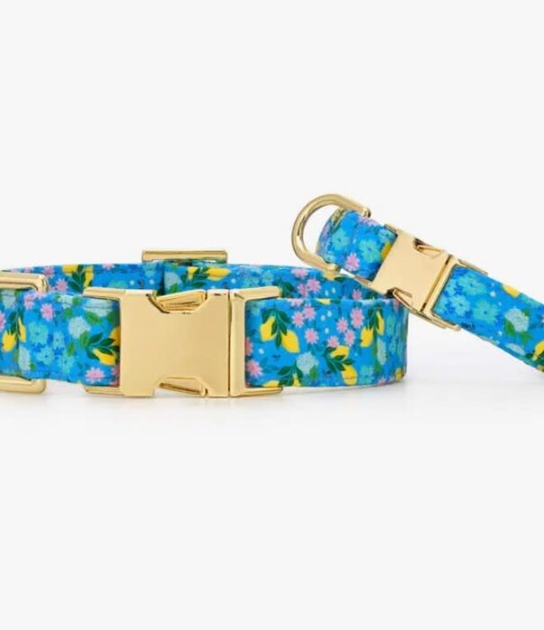 The Foggy Dog The Foggy Dog Spring Collar