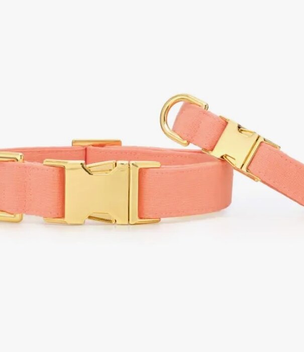 The Foggy Dog The Foggy Dog Spring Collar