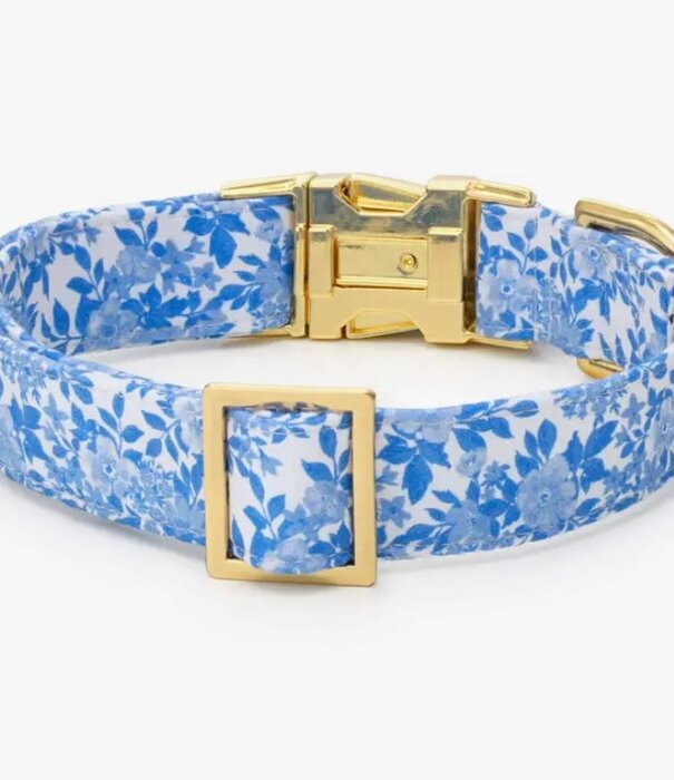 The Foggy Dog The Foggy Dog Spring Collar