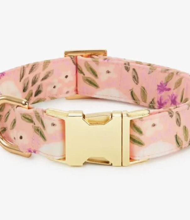 The Foggy Dog The Foggy Dog Spring Collar