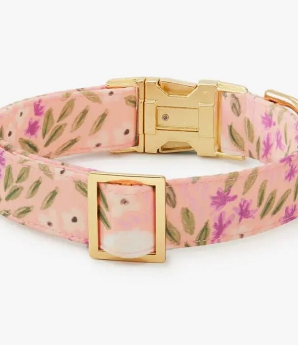 The Foggy Dog The Foggy Dog Spring Collar
