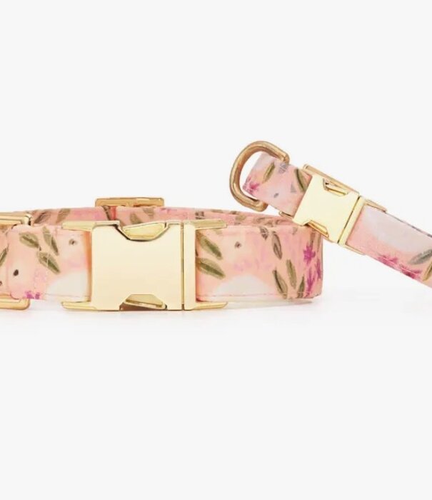 The Foggy Dog The Foggy Dog Spring Collar