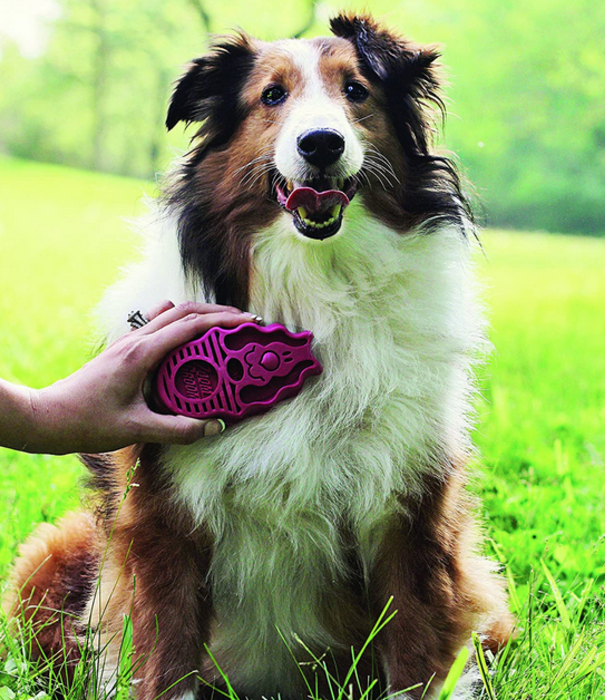 Kong Kong Dog ZoomGroom Raspberry