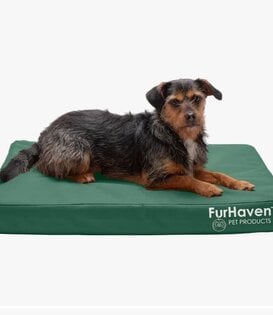 FurHaven Pet Oxford Indoor/Outdoor Cooling Gel Top Deluxe Pet Bed Forest Medium