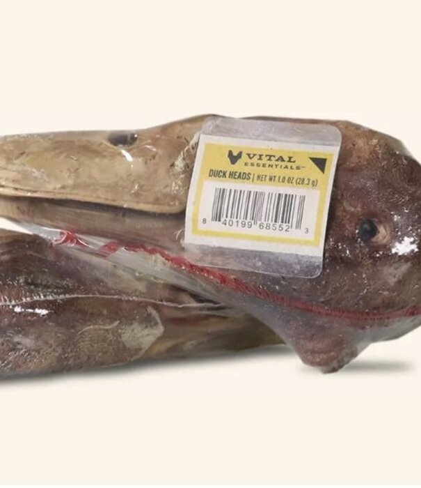 Vital Essential Freeze Dried Duck Head