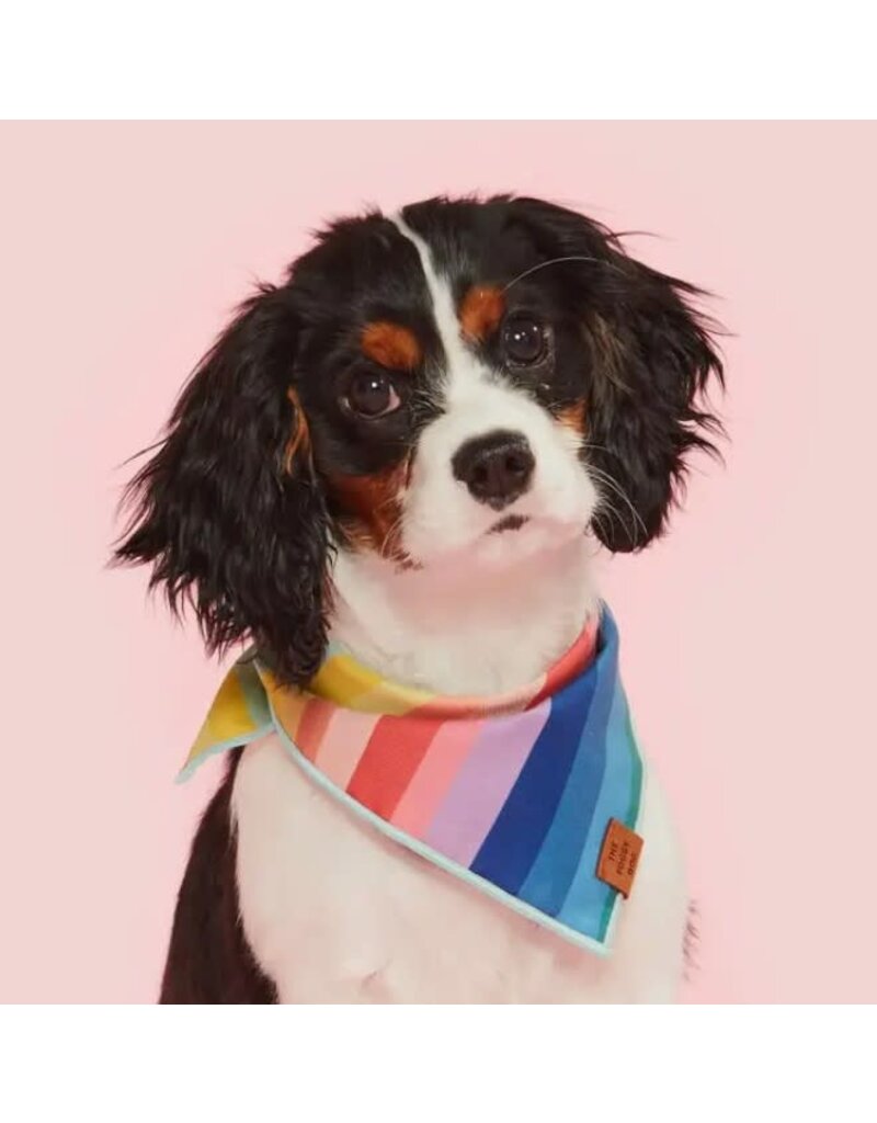 The Foggy Dog The Foggy Dog Over the Rainbow Bandana