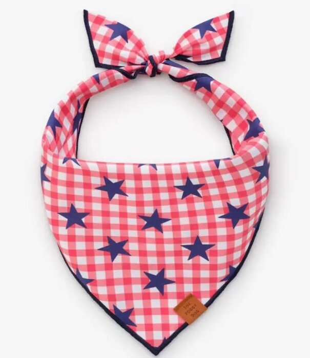 The Foggy Dog The Foggy Dog Summer Bandana