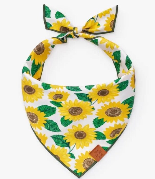 The Foggy Dog The Foggy Dog Summer Bandana