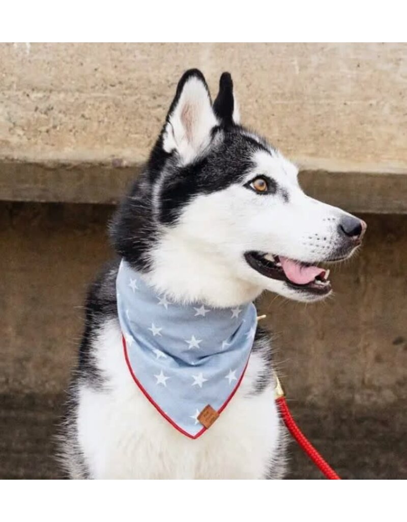 The Foggy Dog The Foggy Dog Summer Bandana