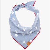 The Foggy Dog Summer Bandana