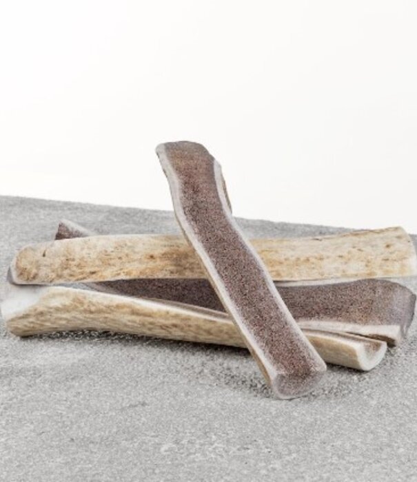 Primal Elk Antler Large Split