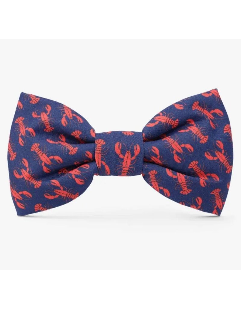 The Foggy Dog The Foggy Dog Summer Bow Tie