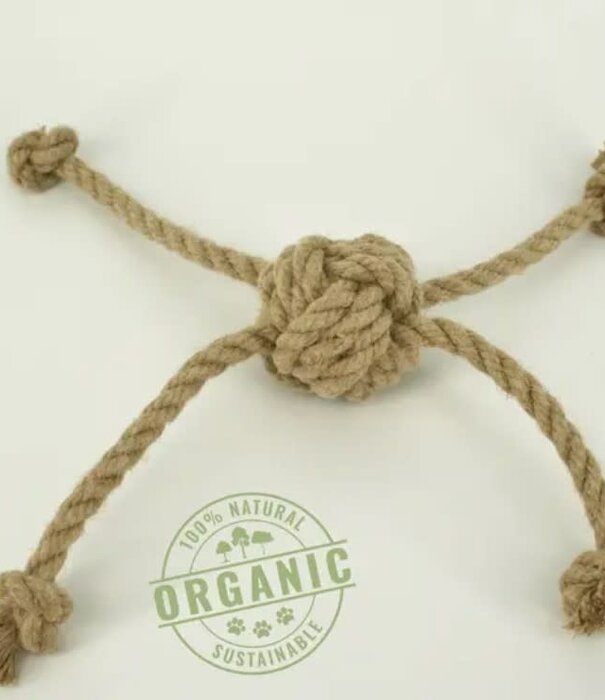 Pawsome Pet Toys Pawsome Pets Toys Rope Toy Large
