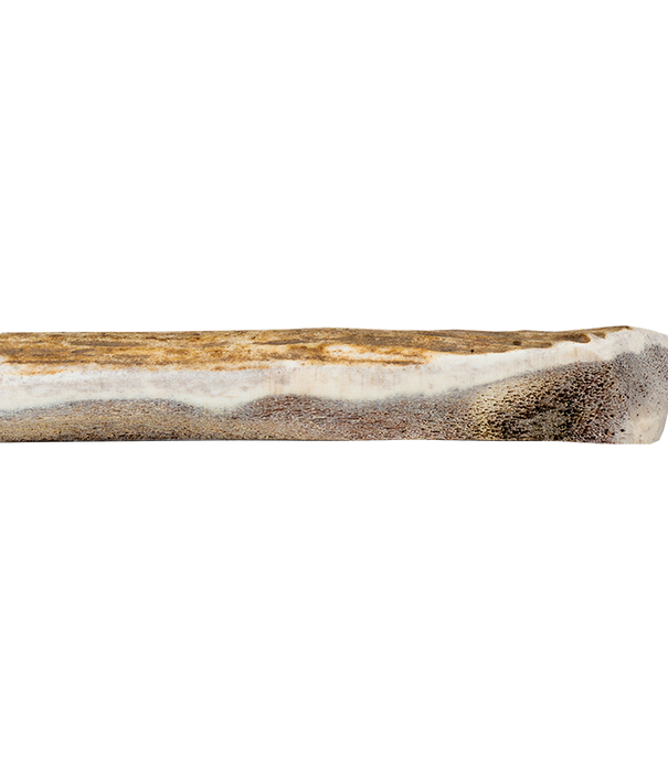 Primal Elk Antler Large Split