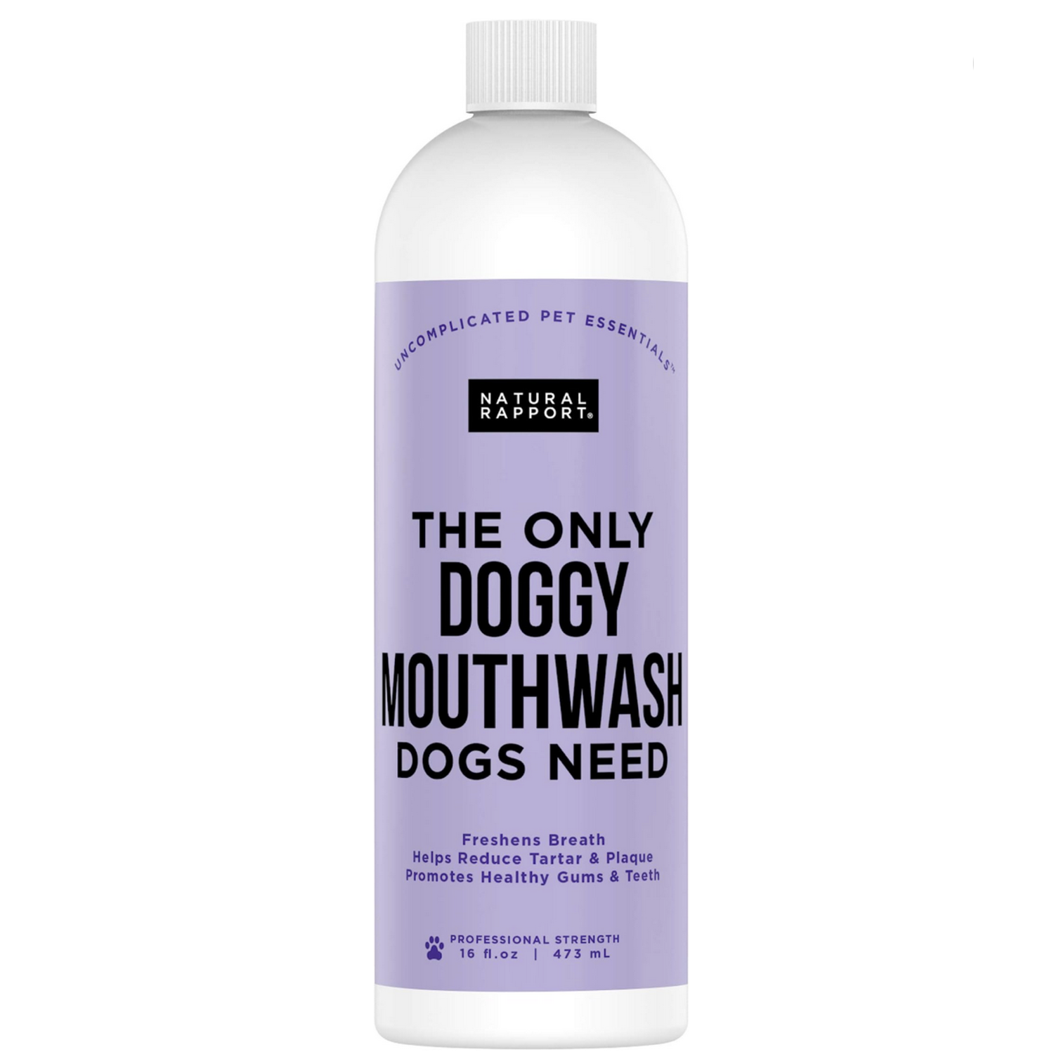 Natural Rapport Natural Rapport Mouthwash 16 oz