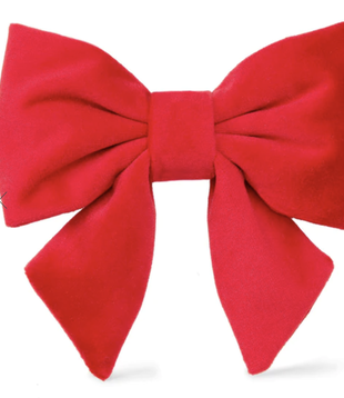 The Foggy Dog LADY Bow