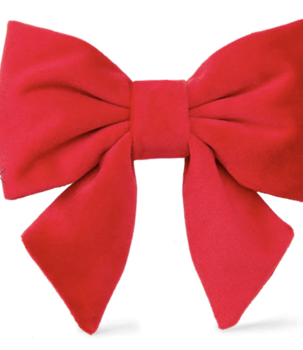 The Foggy Dog The Foggy Dog LADY Bow