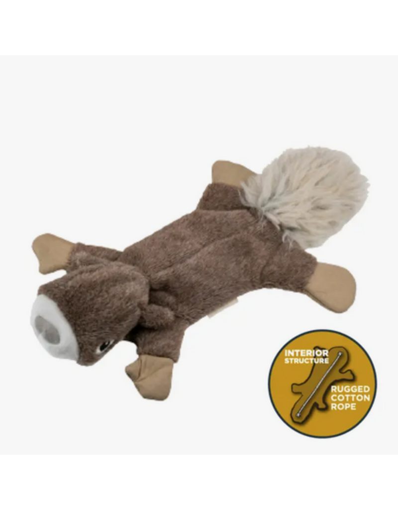 Tall Tails Tall Tails Stuffless Squirrel Squeaker Dog Toy