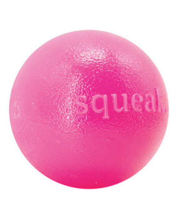 Planet Dog Squeak Ball