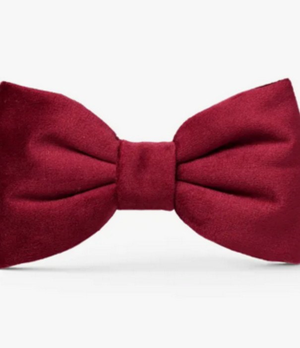 The Foggy Dog The Foggy Dog Valentine's Day Bowtie