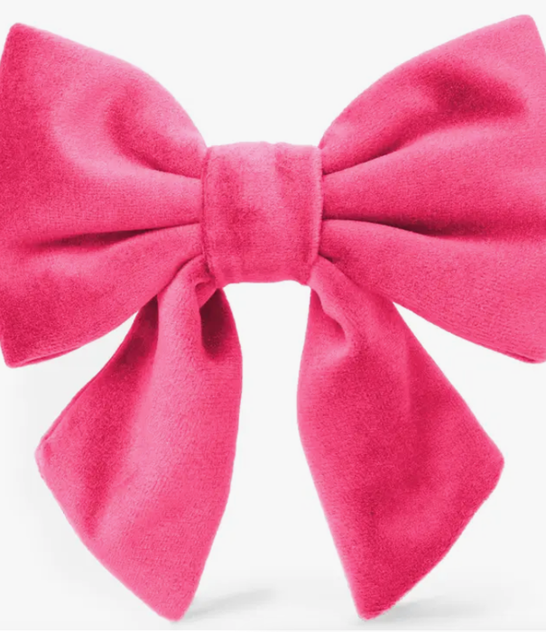 The Foggy Dog The Foggy Dog LADY Bow