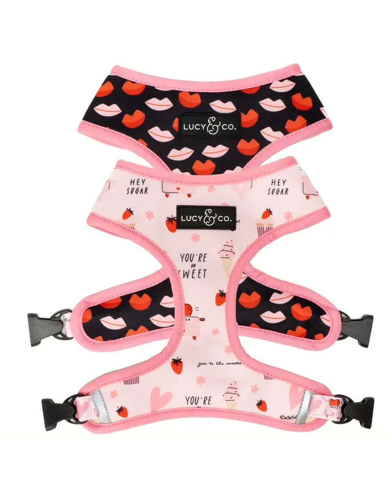 Lucy & Co. Lucy & Co The Sugar Sugar Reversible Harness