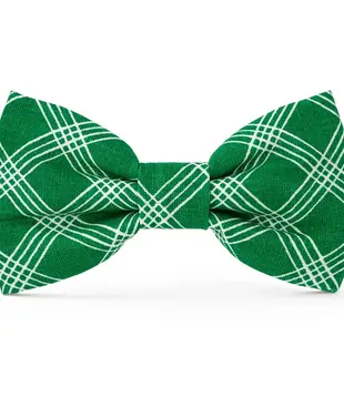 The Foggy Dog Emerald Plaid Bowtie