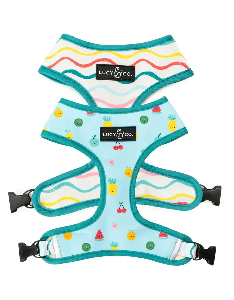 Lucy & Co. Lucy & Co Cuitie Fruity Reversible Harness Large