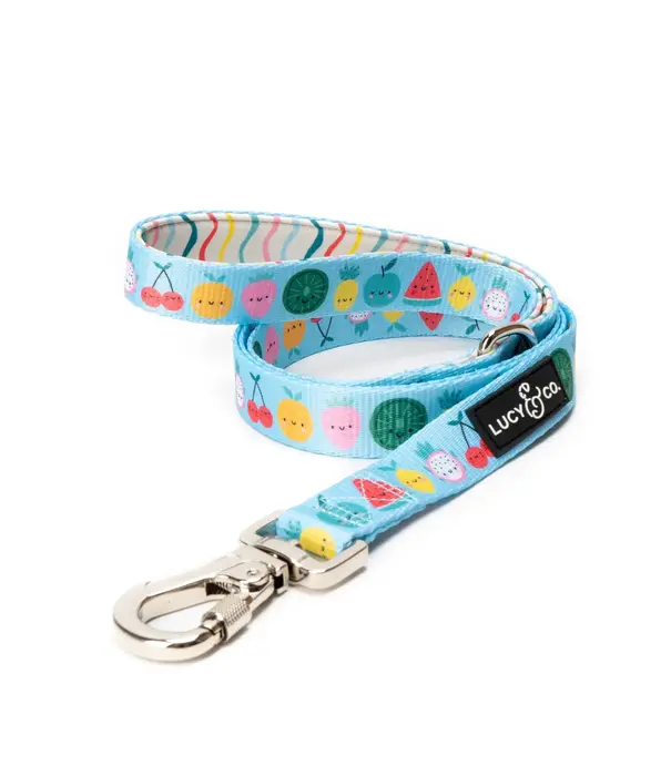 Lucy & Co. Lucy & Co The Cutie Fruity Leash Small