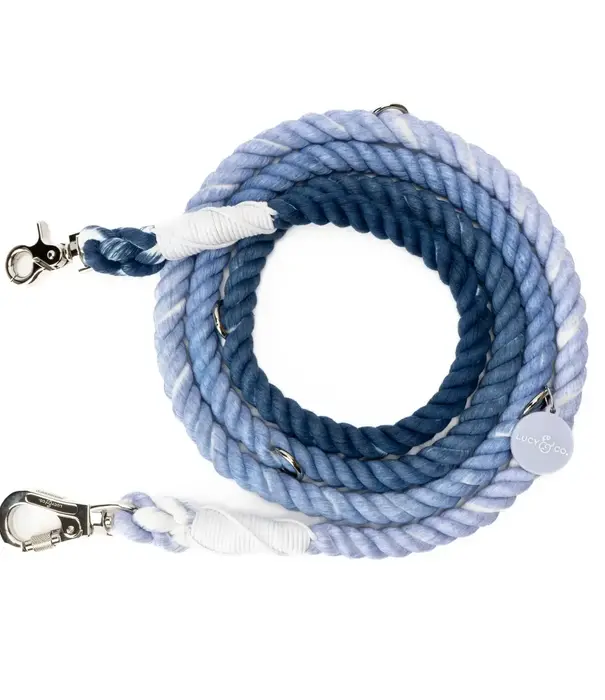Lucy & Co. Lucy & Co The Blueberry Twist Hands-Free Rope Leash