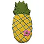 Bubba Rose Buscuit Co. Pineapple Loose Cookie
