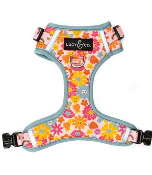 Lucy & Co Y2K Baby No-Pull Harness X-Small