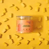 Arya Sit Freeze-Dried Pumpkin Yogurt 2.5oz