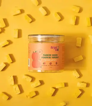 Arya Sit Freeze-Dried Pumpkin Yogurt 2.5oz
