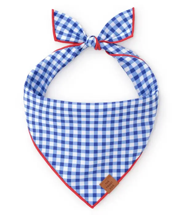 The Foggy Dog Blue Gingham Summer Dog Bandana Medium