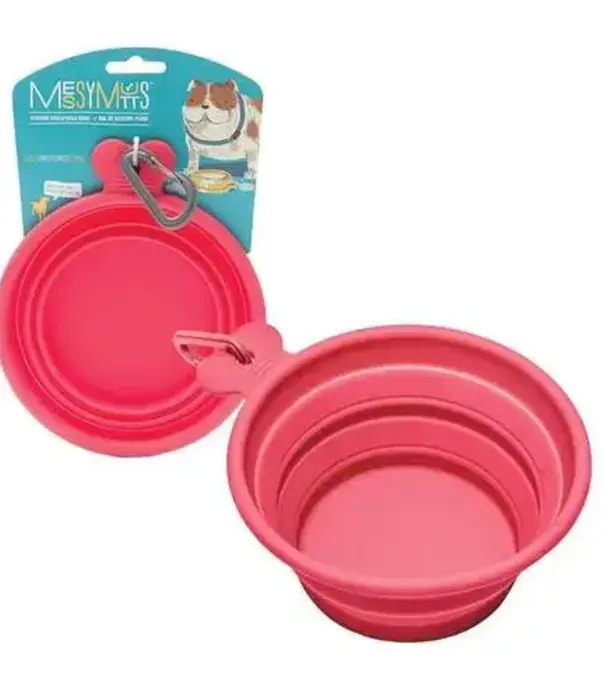 Messy Mutts Collapsible Bowl Watermelon