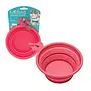 Messy Mutts Collapsible Bowl Watermelon
