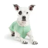 Gold Paw Sun Shield Tee Sizes 8-12