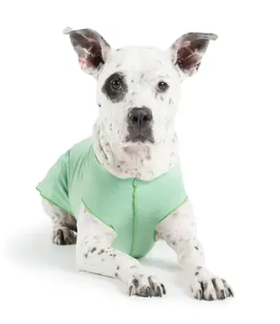 Gold Paw Sun Shield Tee Sizes 8-12