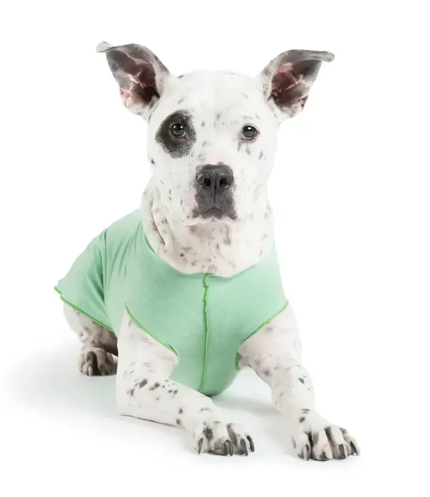 Gold Paw Series Gold Paw Sun Shield Tee Sizes 8-12
