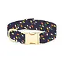 The Foggy Dog Rifle Paper Co. x TFD Holiday Lights Dog Collar Large
