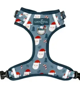 Lucy & Co The Santa Land Frost No-Pull Harness  Medium