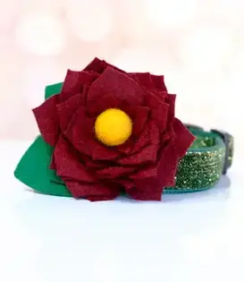 Mimi Green Joy Holiday Dog Collar Sienna Flower