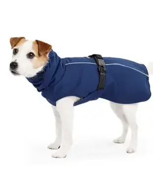 Gold Paw Series Winter Paw Navy 12