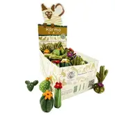 Karma Cat Toy Assorted Succulents